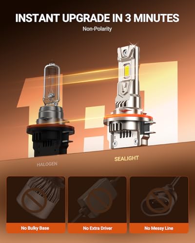H11B LED Bulbs (2 Count)