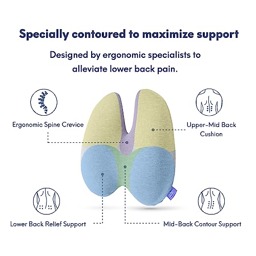 Extra Dense Lumbar Pillow