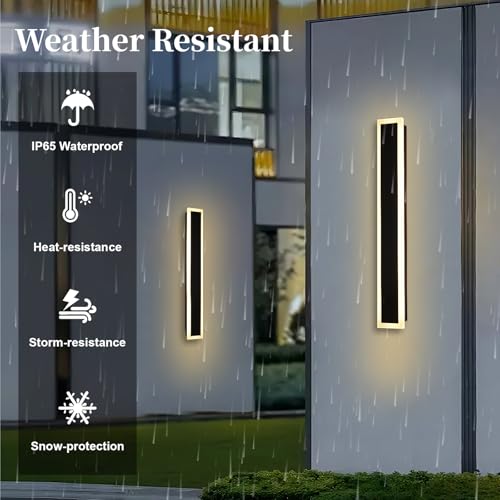 2 Pack Outdoor Wall Light for Porch (2 Count)