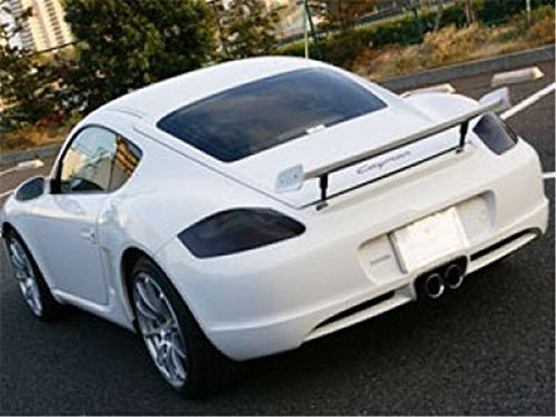 12 by 48 Inches Self Adhesive Headlight