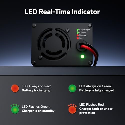 12V 20A Lithium Battery Charger