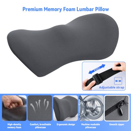 Lumbar Support Pillow for Office Chair and Car Seat