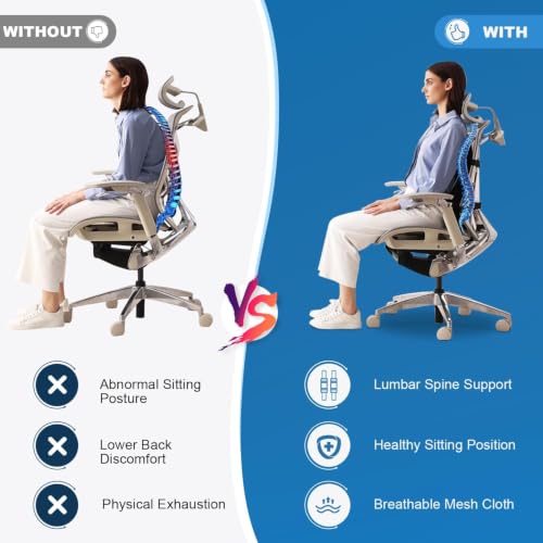 Lumbar Support Pillow for Office Chair Car