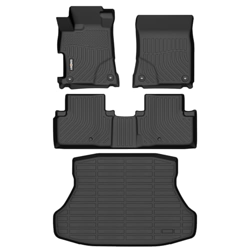Floor Mats & Cargo Liner for 2013