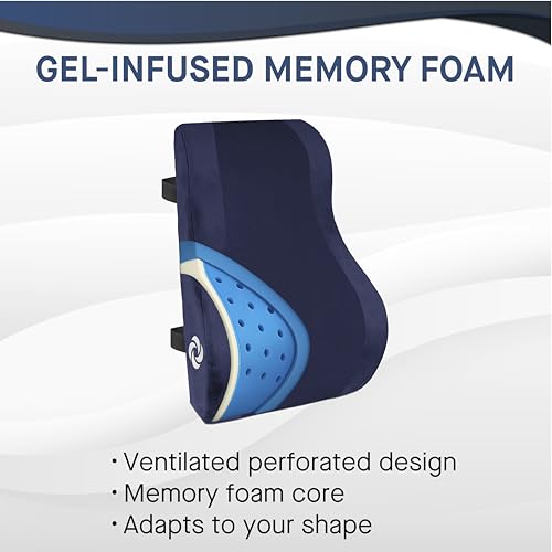 Ergonomic Lumbar Support Pillow for Office Chair and Car Seat