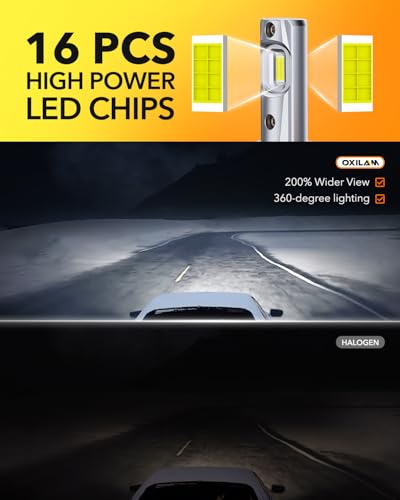 H11 LED Bulbs (2 Count)