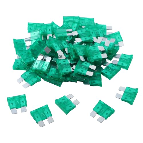 100 Pack Auto Fuses 30 AMP ATC