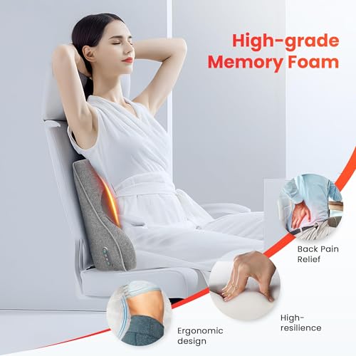 Back Lumbar Support Pillow for Office