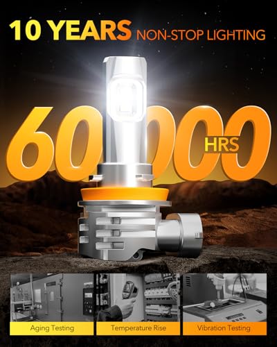 H11 LED Bulbs (2 Count)