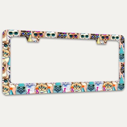 Funny Cat Pet License Plate Frame Stainless Steel Car Parts 2 Hole 6x12 in