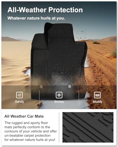 Floor Mats & Cargo Mat for 2017