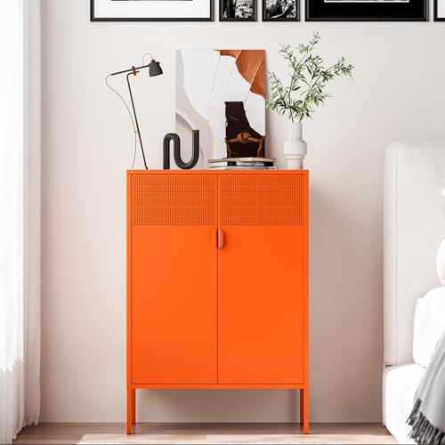 2 Mesh Door Metal Cabinet with Adjustable Shelves