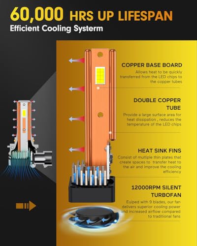 Upgraded 9005 9006 bulbs combo (2 Count)