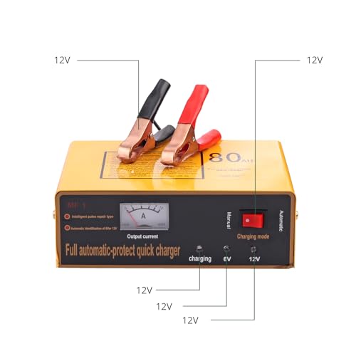 6V 5A and12V 8.5A Car Battery Charger