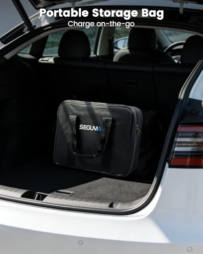 NEMA 10 30 Tesla Charger