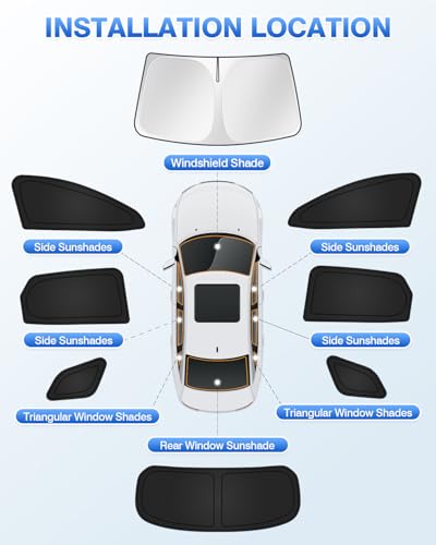 Window Shades for 2023 (8 Count)