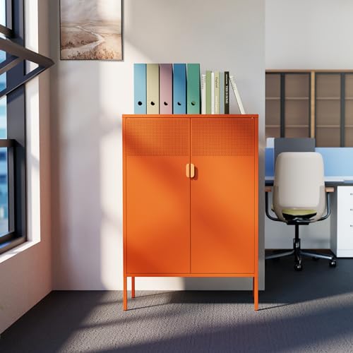 2 Mesh Door Metal Cabinet with Adjustable Shelves