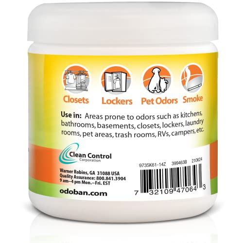Solid Odor Absorber Eliminator for Home and Small Spaces (42 Ounce)