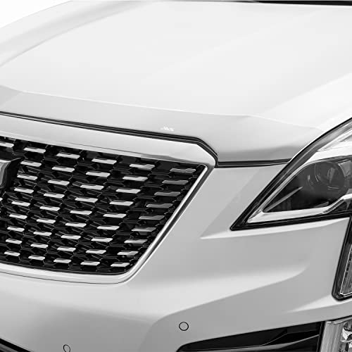 AVS] Aeroskin Hood Protector