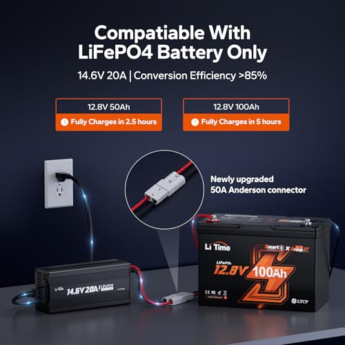 12V 20A Lithium Battery Charger