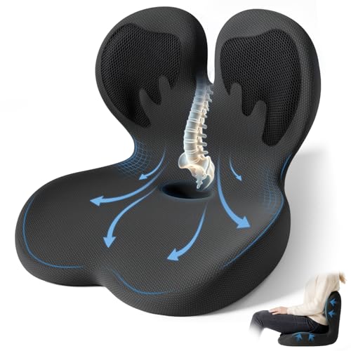Seat Cushion with Lumbar Support Pillow