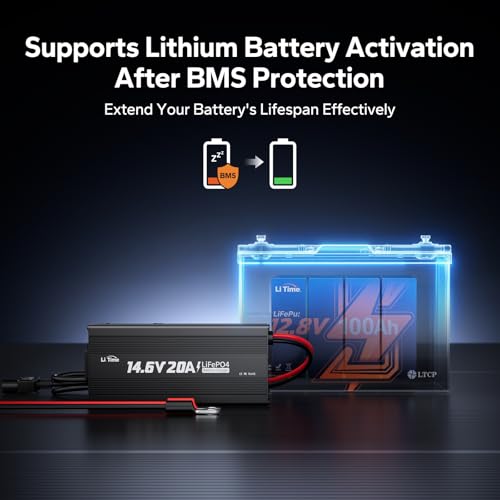 12V 20A Lithium Battery Charger