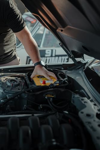 Batteries High Performance D34