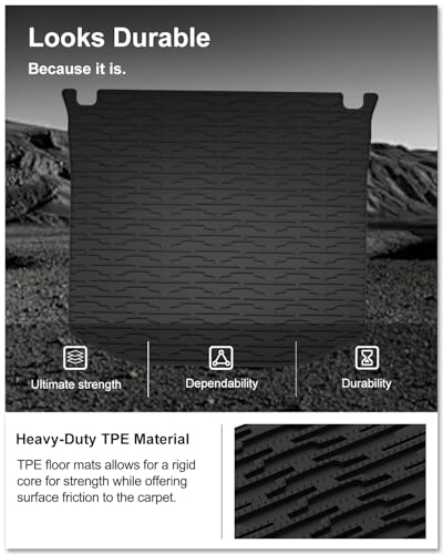 Cargo Mat for 2011