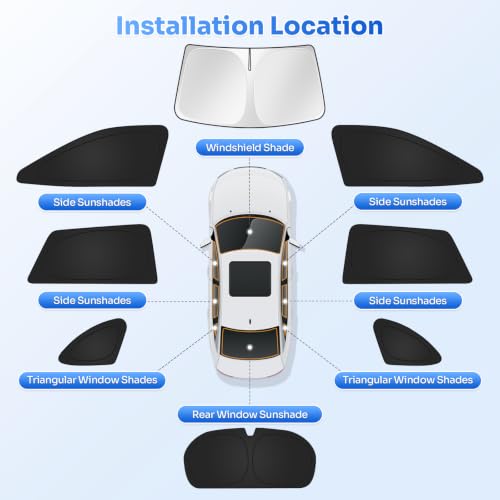 Window Shades for 2020 (8 Count)