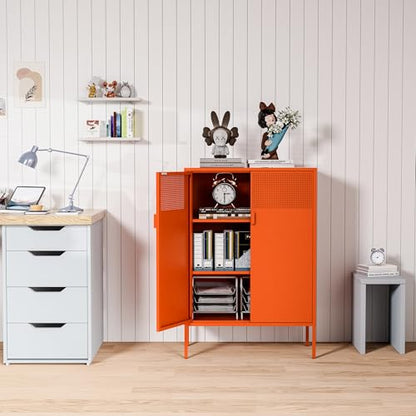 2 Mesh Door Metal Cabinet with Adjustable Shelves