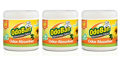 Solid Odor Absorber Eliminator for Home and Small Spaces (42 Ounce)