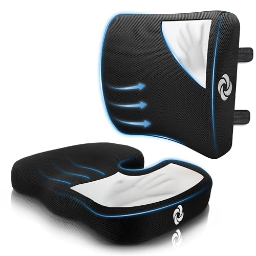 Ergonomic Seat Cushion and Lumbar Support Cushion Combo (2 Count)