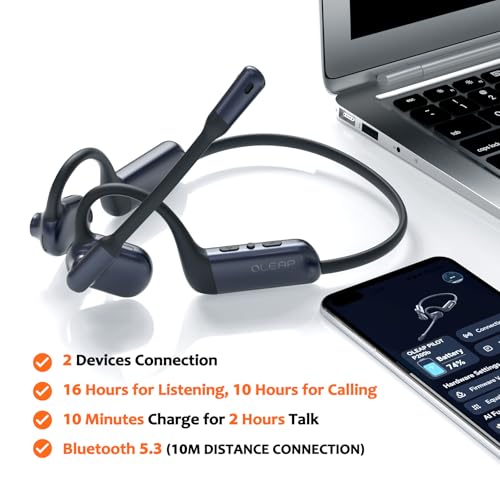P200b Pro Wireless Headset with Mic for Work