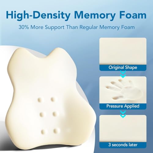 Patented Lumbar Support Pillow for Car