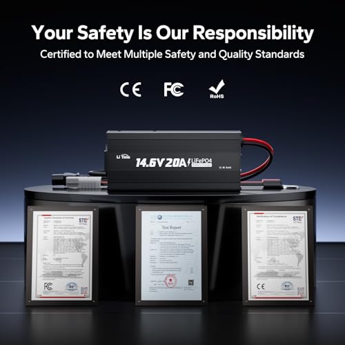 12V 20A Lithium Battery Charger