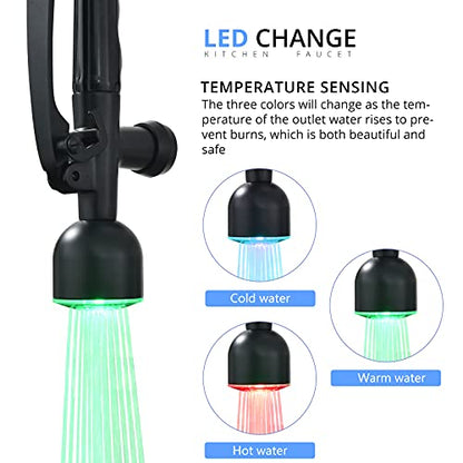 Black Kitchen Faucet with Pull Down Sprayer