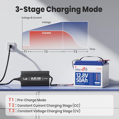 12V 10A LiFePO4 Battery Charger