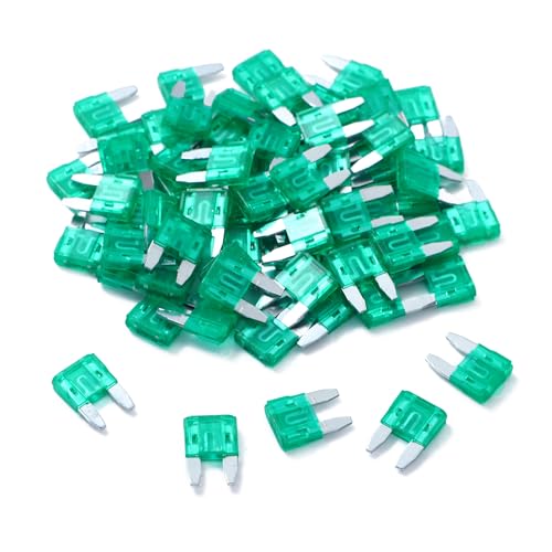 100 Pack Auto Fuses 30 AMP APM (100 Count)