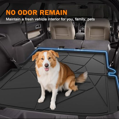 Trunk Cargo Mat for 2011