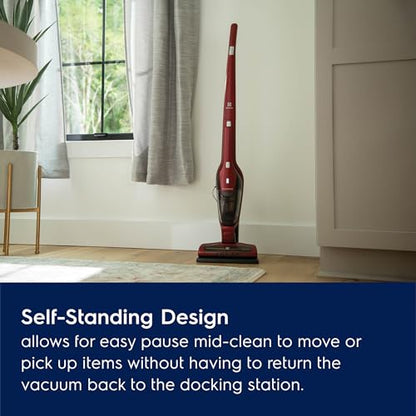 Ergorapido Pet Cordless 2