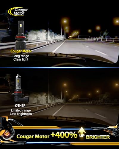 H11 Bulbs H11 Light Bulb H8 H9 Fog Lights 6500K White Non (2 Count)