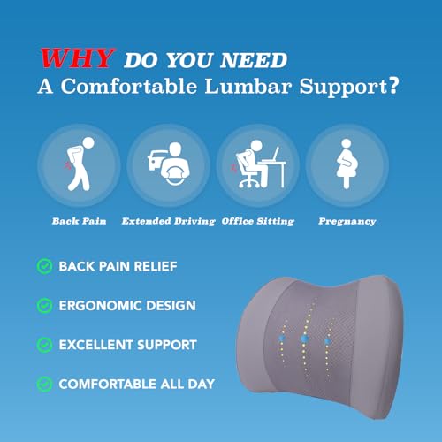 Lumbar Support Pillow for Car