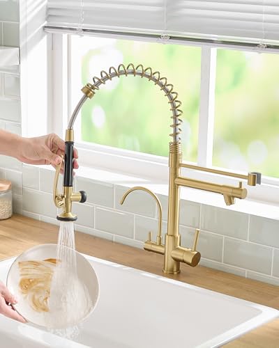 3 Way Kitchen Faucets with Sprayer and Water Filter Brushed Gold