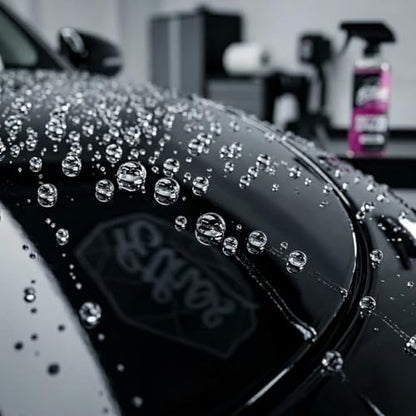 Ethos Car Detail Spray (16 Fl Oz)