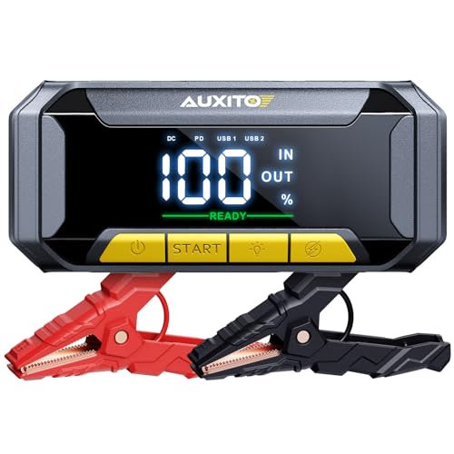 8000A Portable Jump Starter for All Gas