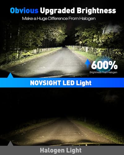 H11 9005 Fog Light Bulbs (2 Count)