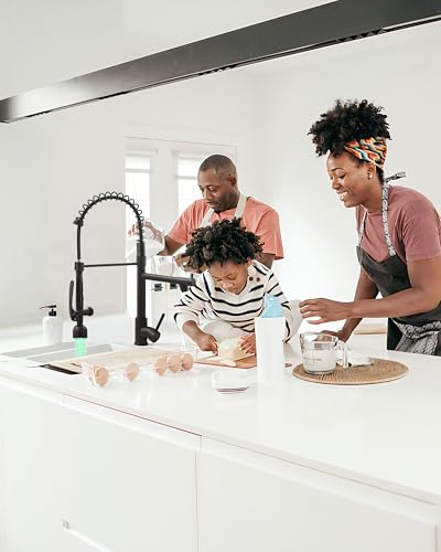 Black Kitchen Faucet with Pull Down Sprayer