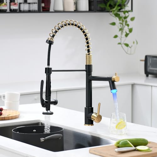 LED Kitchen Faucet with Pull Down Sprayer