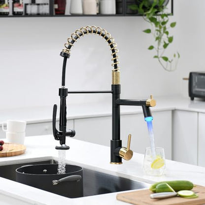 LED Kitchen Faucet with Pull Down Sprayer