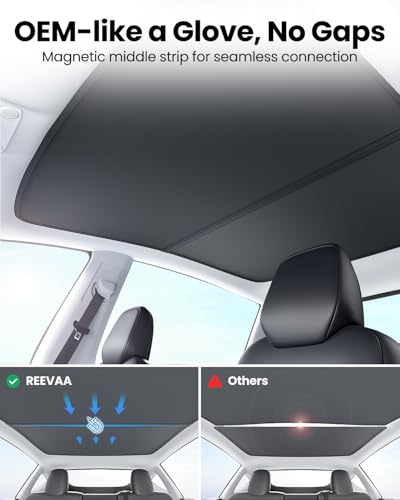 Tesla Model S (14 Count)
